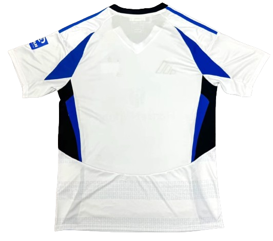 HSV 2024-25 Home Kit